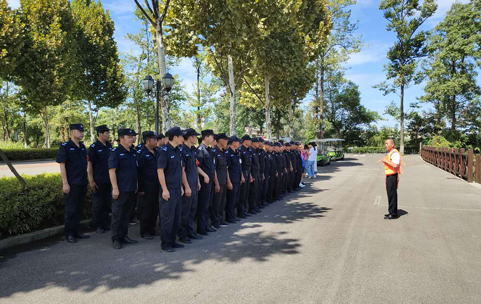 安防保安清静咨询效劳