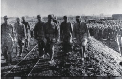 de491af66e3fd5cf2581bc790e137c60